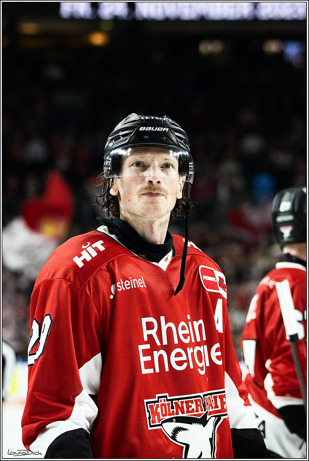 PENNY DEL; Koelner Haie-Augsburger Panthers; Koeln, 19.11.2023