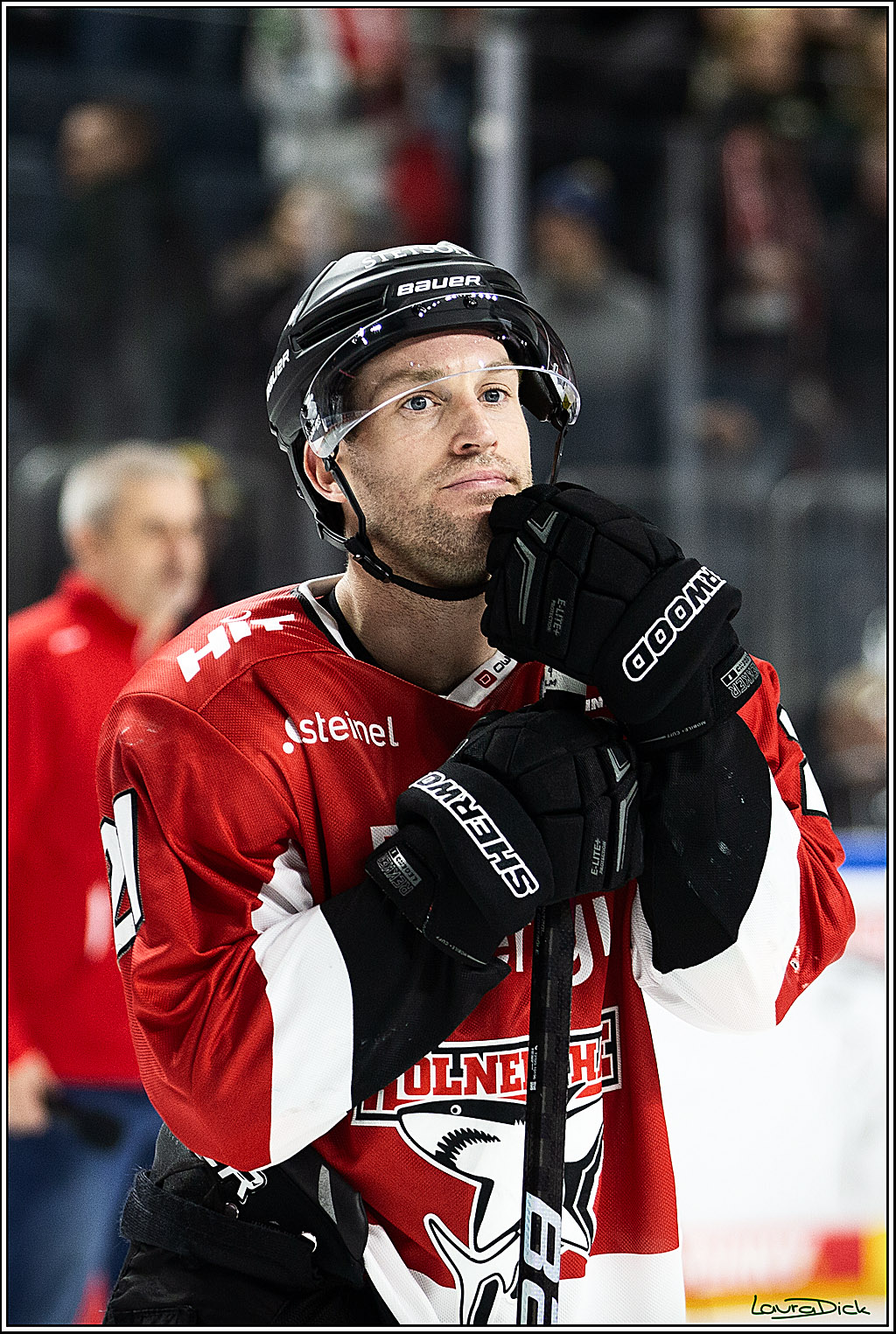 PENNY DEL; Koelner Haie-Augsburger Panthers; Koeln, 19.11.2023