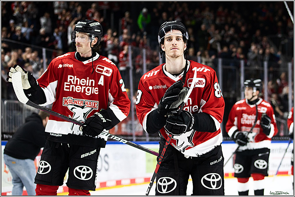 PENNY DEL; Koelner Haie-Augsburger Panthers; Koeln, 19.11.2023