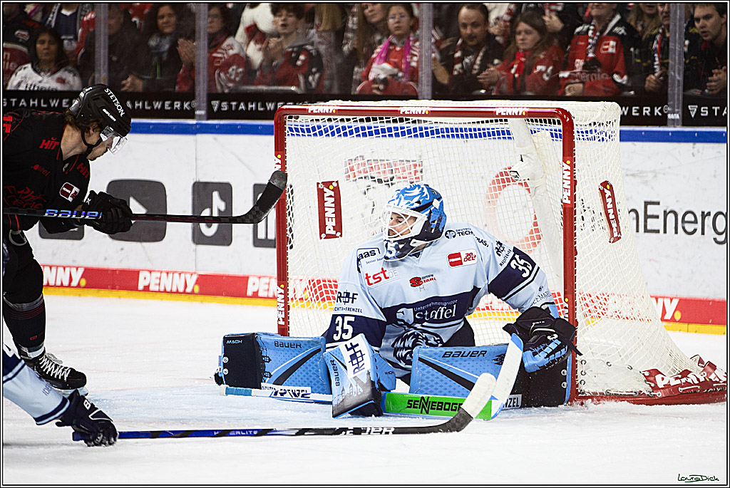 PENNY DEL; Koelner Haie-Straubing Tigers; Koeln, 24.11.2023