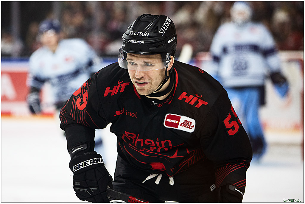 PENNY DEL; Koelner Haie-Straubing Tigers; Koeln, 24.11.2023