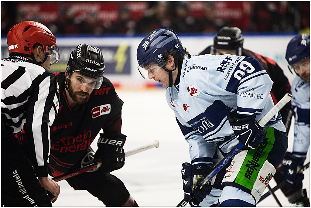PENNY DEL; Koelner Haie-Straubing Tigers; Koeln, 24.11.2023