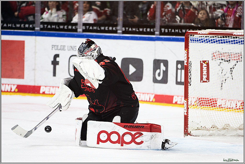PENNY DEL; Koelner Haie-Straubing Tigers; Koeln, 24.11.2023