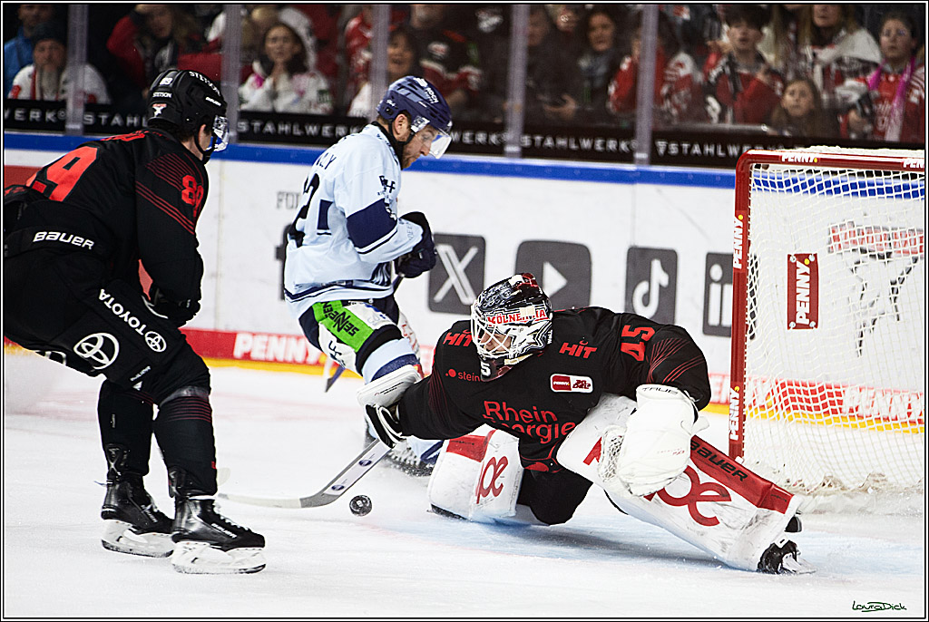 PENNY DEL; Koelner Haie-Straubing Tigers; Koeln, 24.11.2023