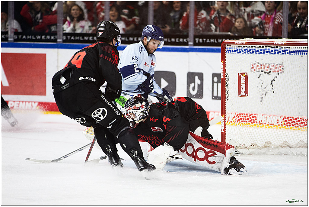 PENNY DEL; Koelner Haie-Straubing Tigers; Koeln, 24.11.2023