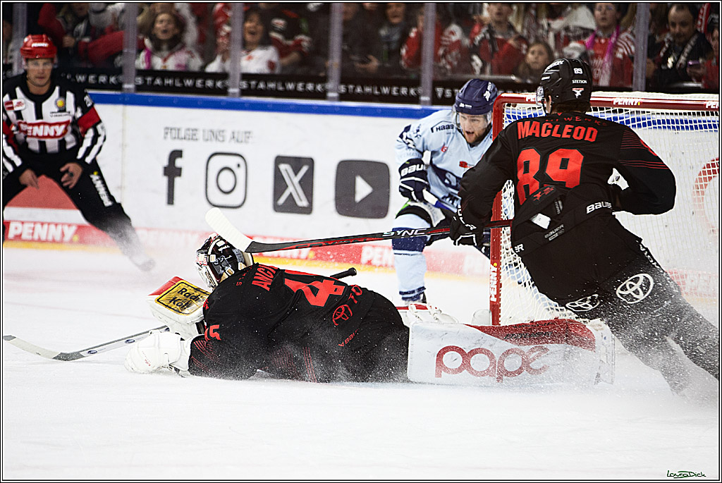 PENNY DEL; Koelner Haie-Straubing Tigers; Koeln, 24.11.2023