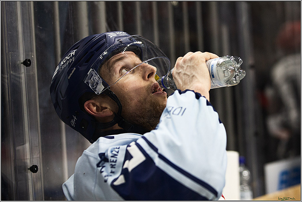 PENNY DEL; Koelner Haie-Straubing Tigers; Koeln, 24.11.2023