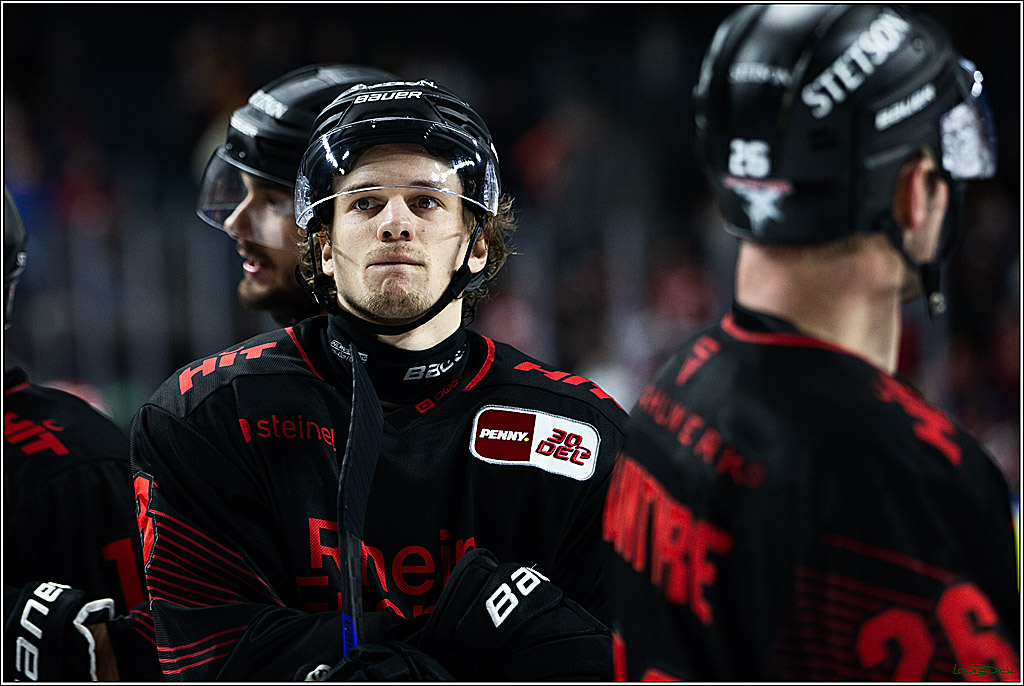 PENNY DEL; Koelner Haie-Straubing Tigers; Koeln, 24.11.2023