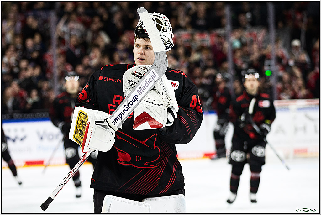 PENNY DEL; Koelner Haie-Straubing Tigers; Koeln, 24.11.2023