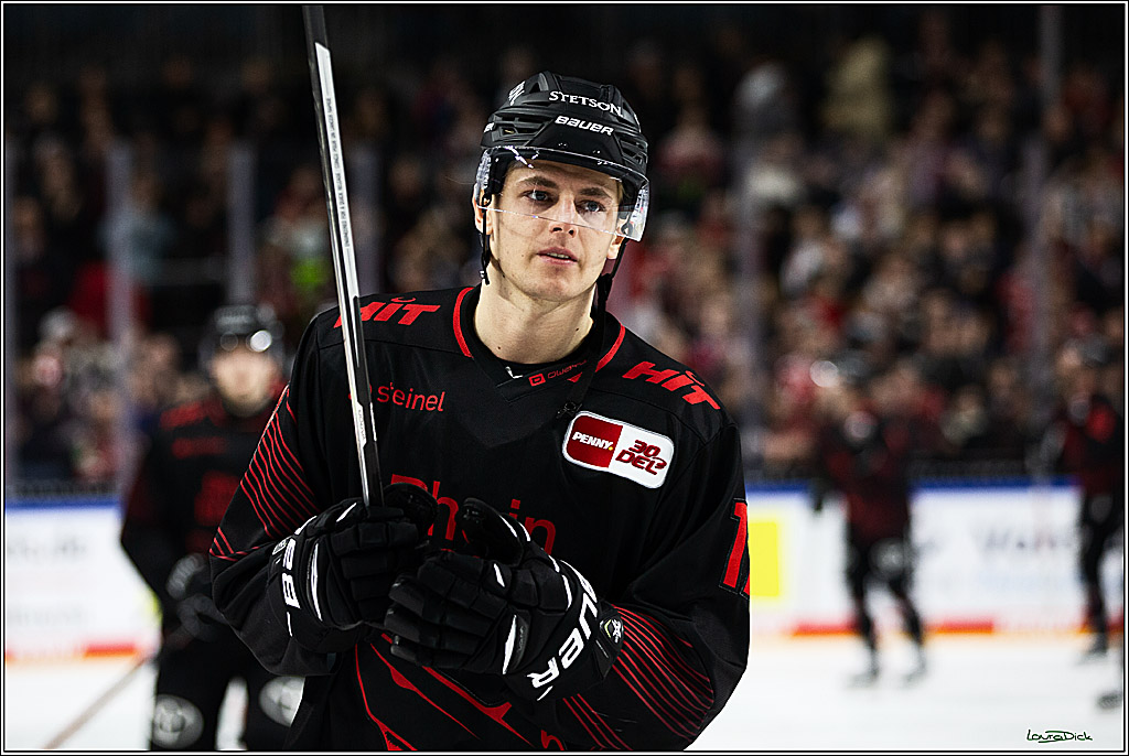 PENNY DEL; Koelner Haie-Straubing Tigers; Koeln, 24.11.2023