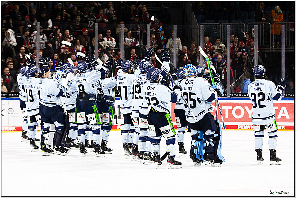 PENNY DEL; Koelner Haie-Straubing Tigers; Koeln, 24.11.2023