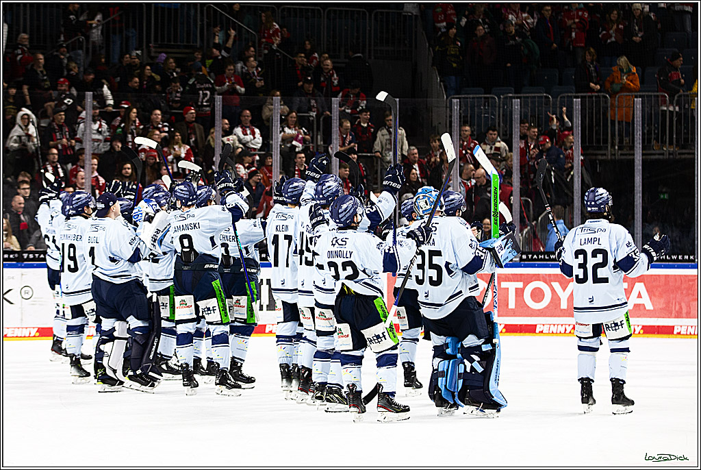PENNY DEL; Koelner Haie-Straubing Tigers; Koeln, 24.11.2023