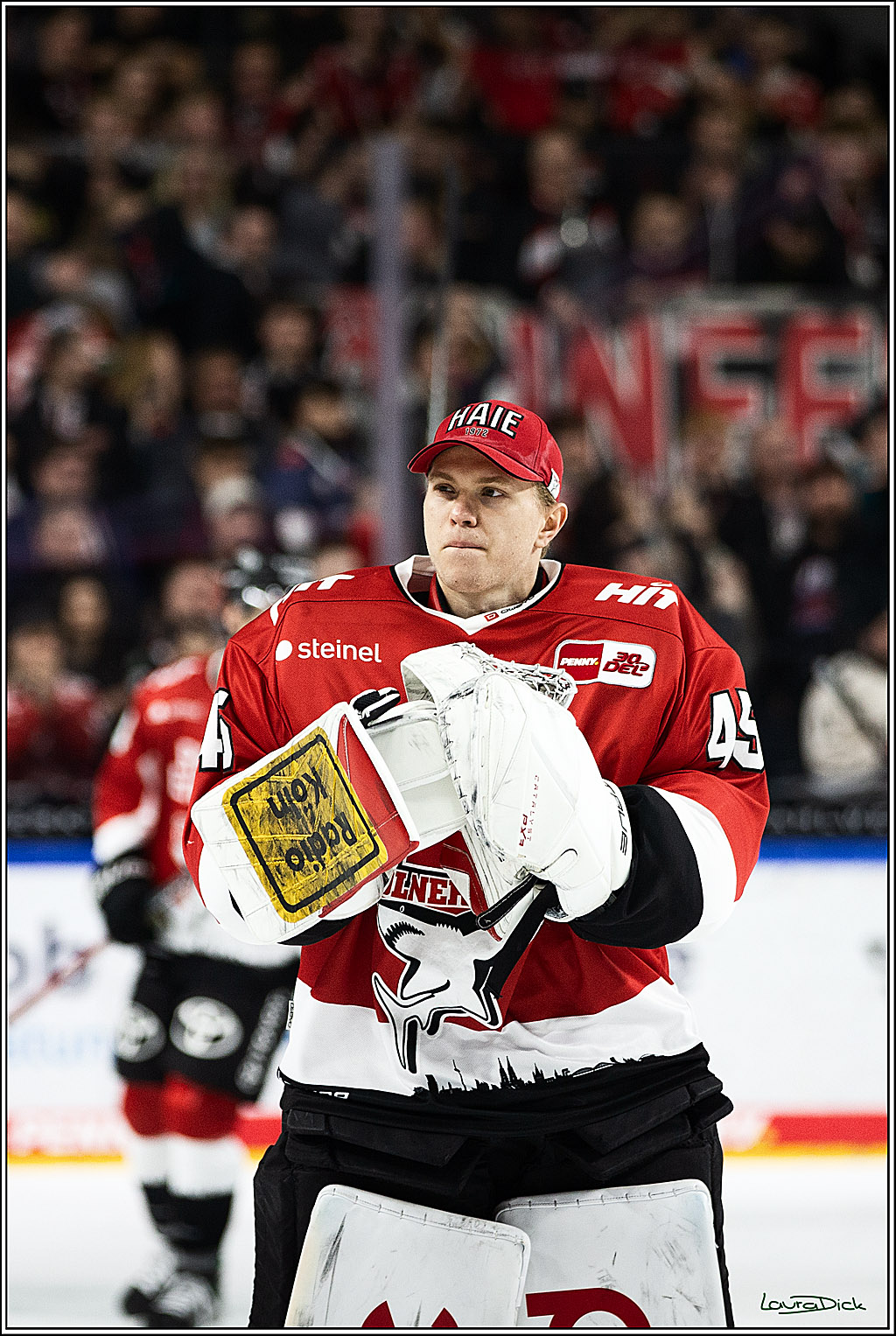 PENNY DEL; Koelner Haie- Grizzly Wolfsburg; Koeln, 28.11.2023