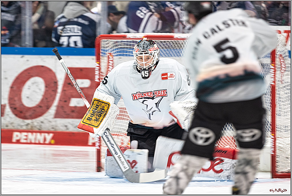 PENNY DEL Iserlohn Roosters - 1. Koelner Haie; Iserlohn, 01.12.2023