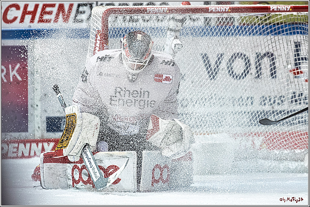 PENNY DEL Iserlohn Roosters - 1. Koelner Haie; Iserlohn, 01.12.2023