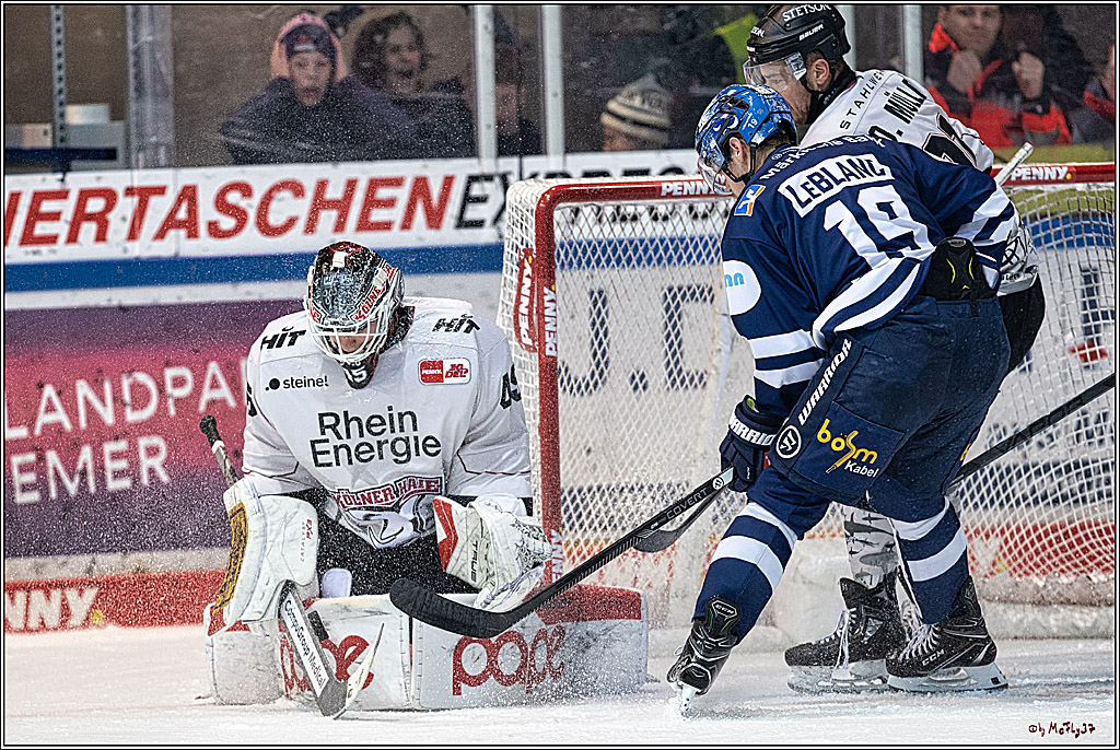 PENNY DEL Iserlohn Roosters - 1. Koelner Haie; Iserlohn, 01.12.2023