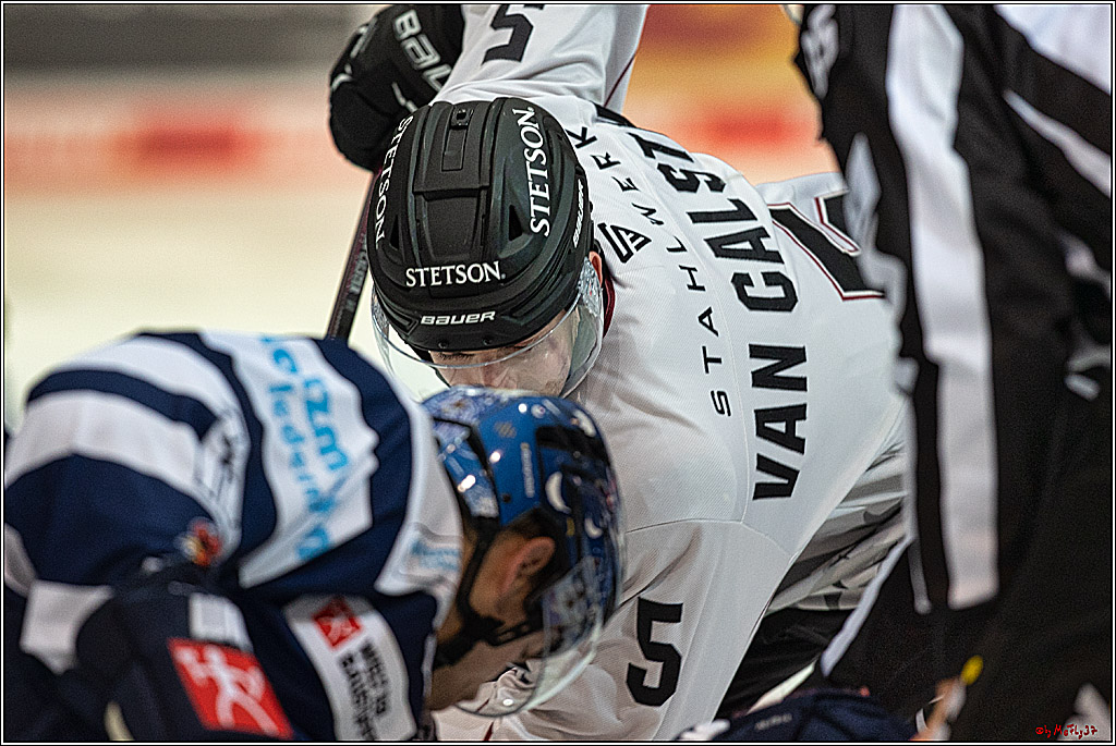 PENNY DEL Iserlohn Roosters - 1. Koelner Haie; Iserlohn, 01.12.2023