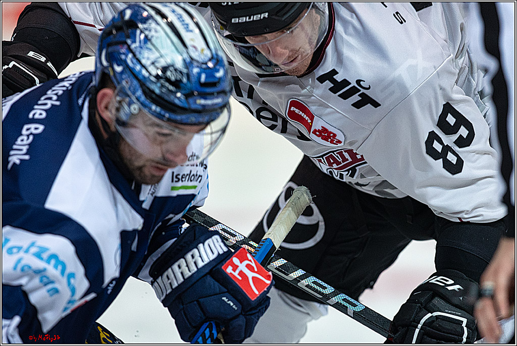 PENNY DEL Iserlohn Roosters - 1. Koelner Haie; Iserlohn, 01.12.2023