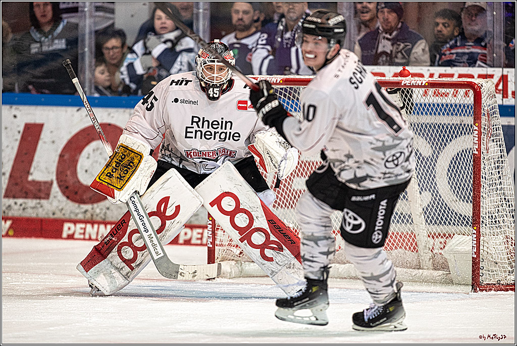 PENNY DEL Iserlohn Roosters - 1. Koelner Haie; Iserlohn, 01.12.2023