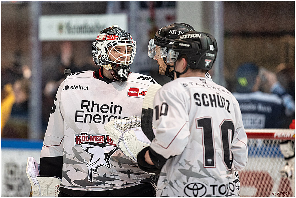 PENNY DEL Iserlohn Roosters - 1. Koelner Haie; Iserlohn, 01.12.2023