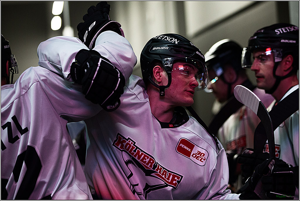 PENNY DEL; Duesseldorfer EG- Koelner Haie; Duesseldorf, 03.12.2023