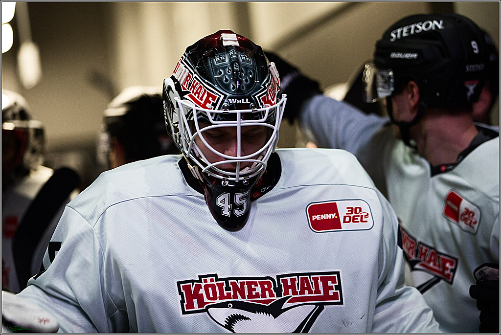 PENNY DEL; Duesseldorfer EG- Koelner Haie; Duesseldorf, 03.12.2023