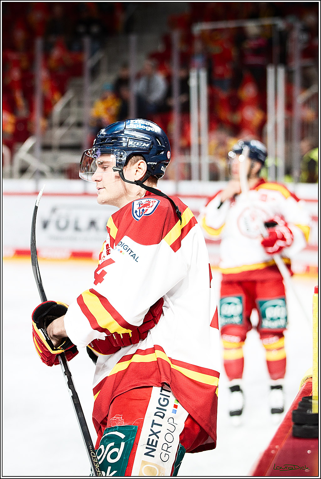 PENNY DEL; Duesseldorfer EG- Koelner Haie; Duesseldorf, 03.12.2023