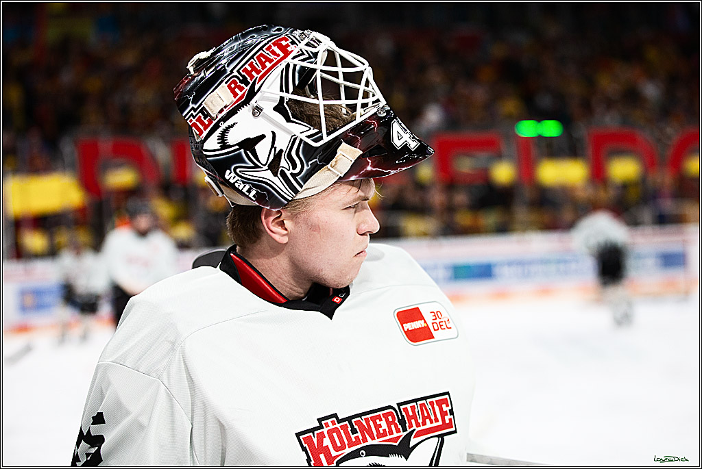 PENNY DEL; Duesseldorfer EG- Koelner Haie; Duesseldorf, 03.12.2023