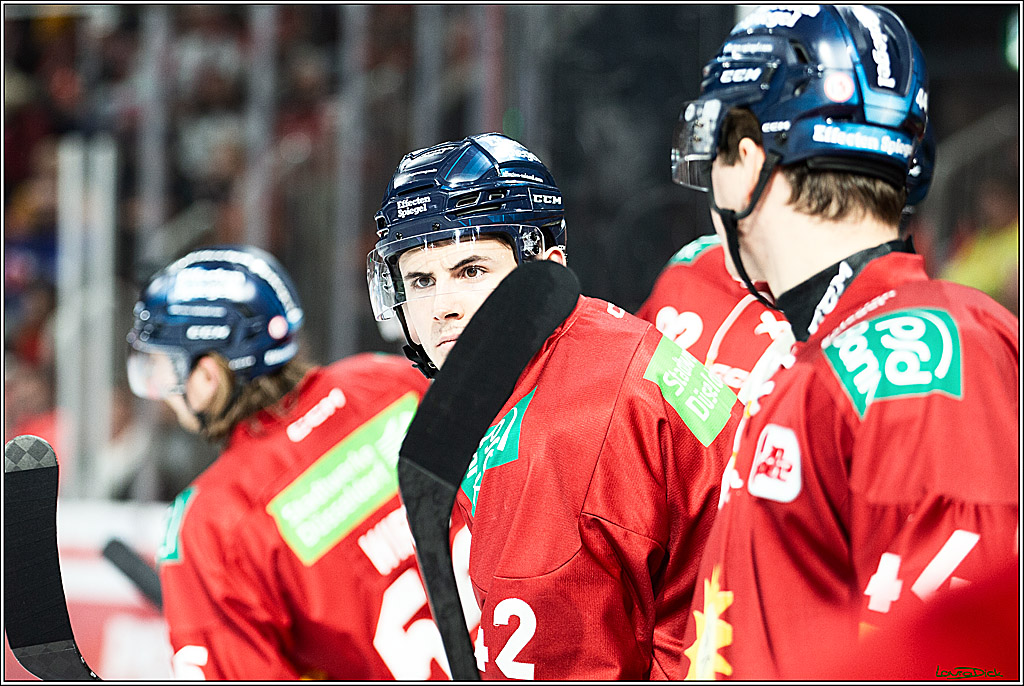 PENNY DEL; Duesseldorfer EG- Koelner Haie; Duesseldorf, 03.12.2023