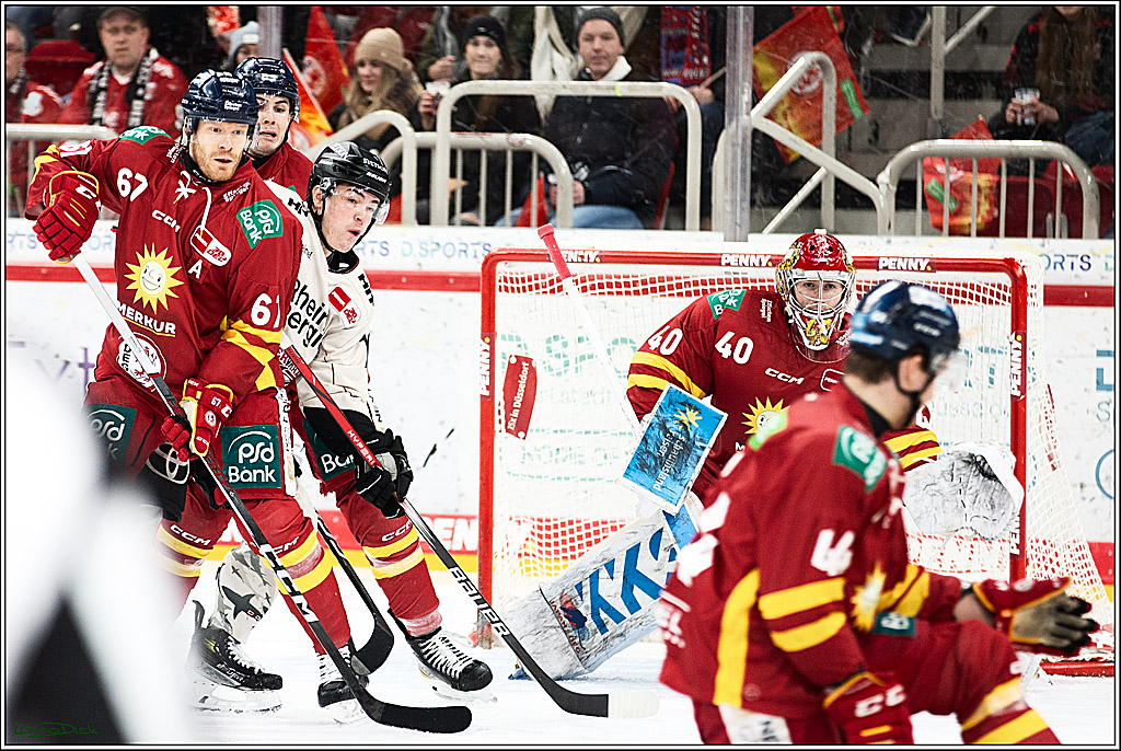 PENNY DEL; Duesseldorfer EG- Koelner Haie; Duesseldorf, 03.12.2023