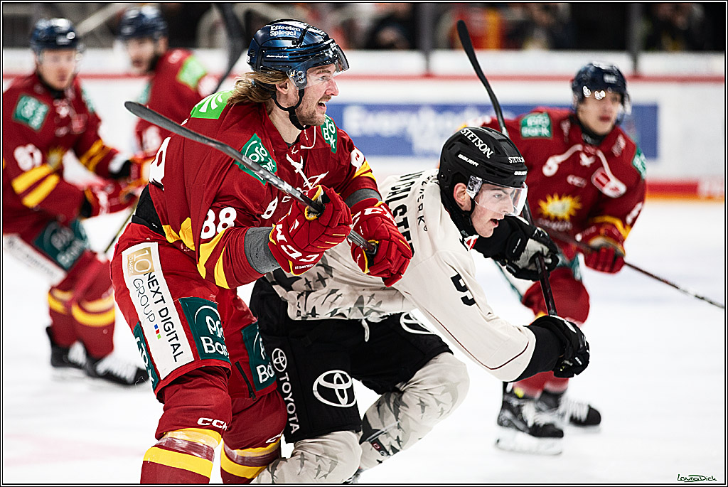 PENNY DEL; Duesseldorfer EG- Koelner Haie; Duesseldorf, 03.12.2023