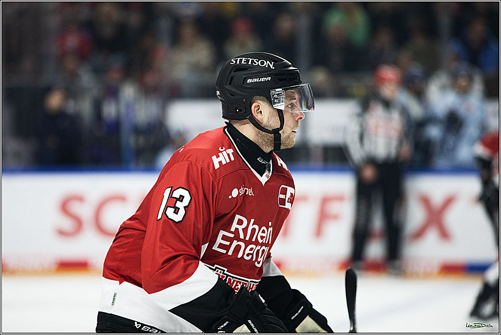 PENNY DEL; Koelner Haie- Straubing Tigers; Koeln, 15.12.2023