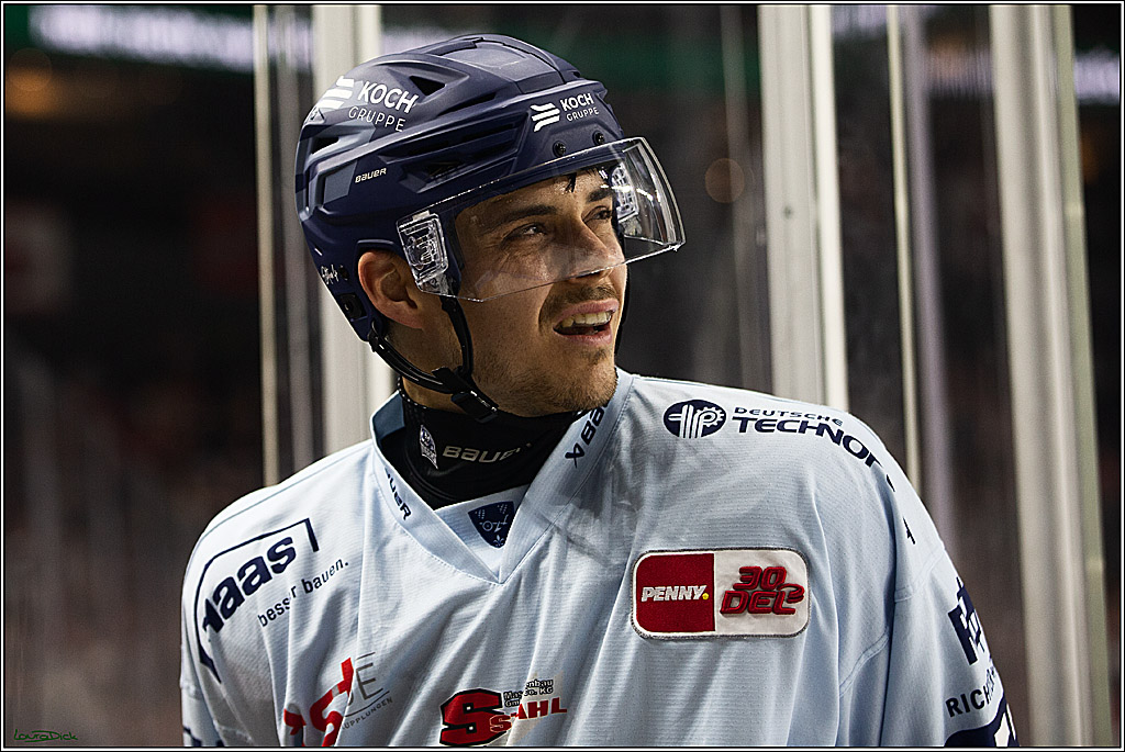 PENNY DEL; Koelner Haie- Straubing Tigers; Koeln, 15.12.2023
