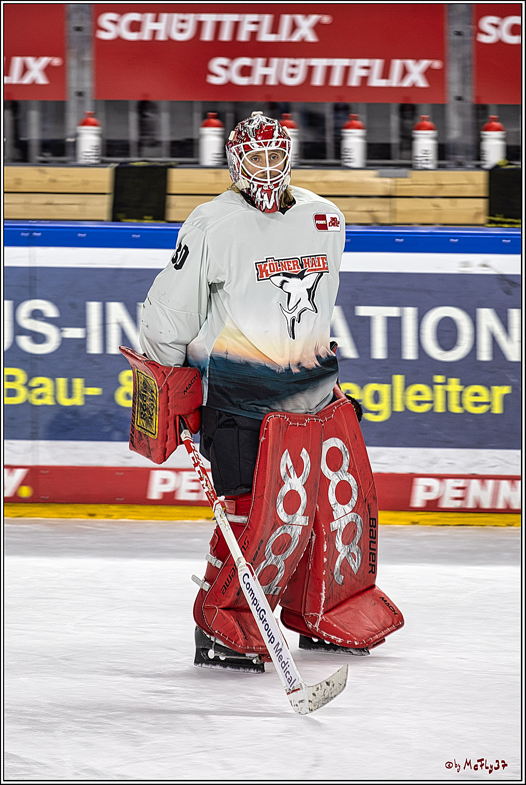 PENNY DEL 1. Koelner Haie - Straubing Tigers; Koeln, 15.12.2023