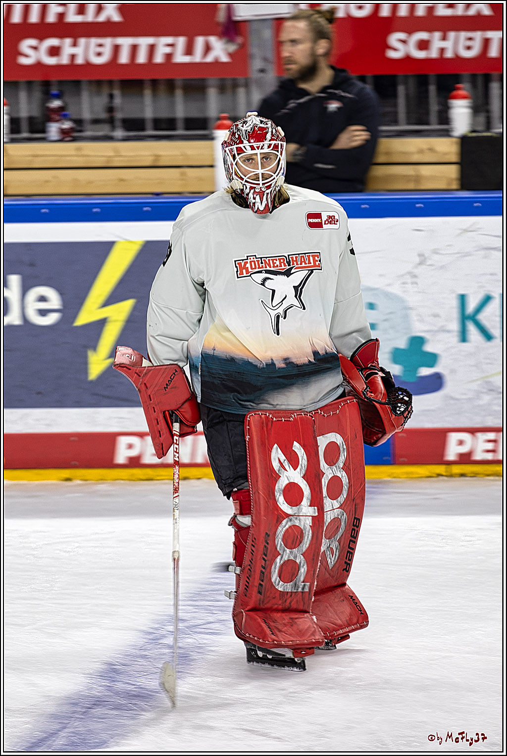 PENNY DEL 1. Koelner Haie - Straubing Tigers; Koeln, 15.12.2023