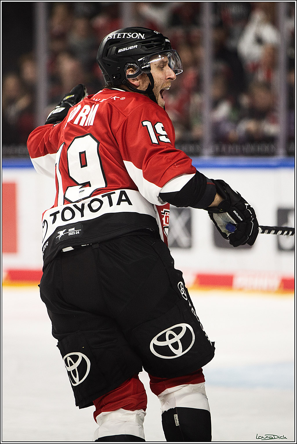 PENNY DEL; Koelner Haie- Straubing Tigers; Koeln, 15.12.2023