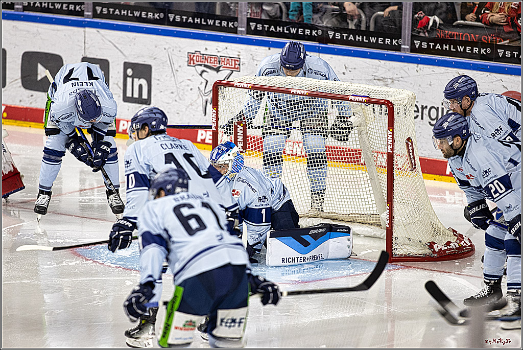 PENNY DEL 1. Koelner Haie - Straubing Tigers; Koeln, 15.12.2023