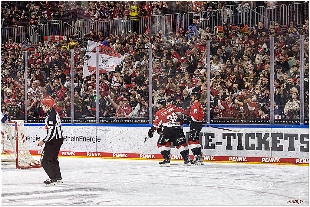 PENNY DEL 1. Koelner Haie - Straubing Tigers; Koeln, 15.12.2023