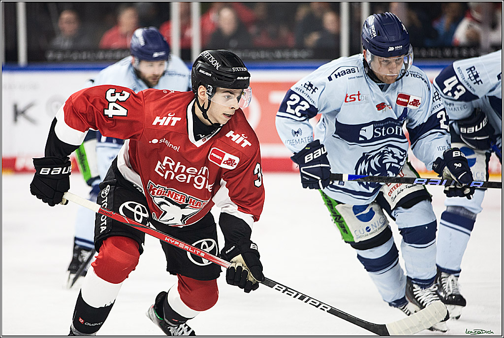 PENNY DEL; Koelner Haie- Straubing Tigers; Koeln, 15.12.2023