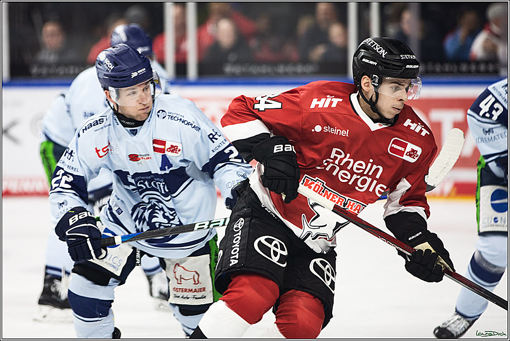 PENNY DEL; Koelner Haie- Straubing Tigers; Koeln, 15.12.2023
