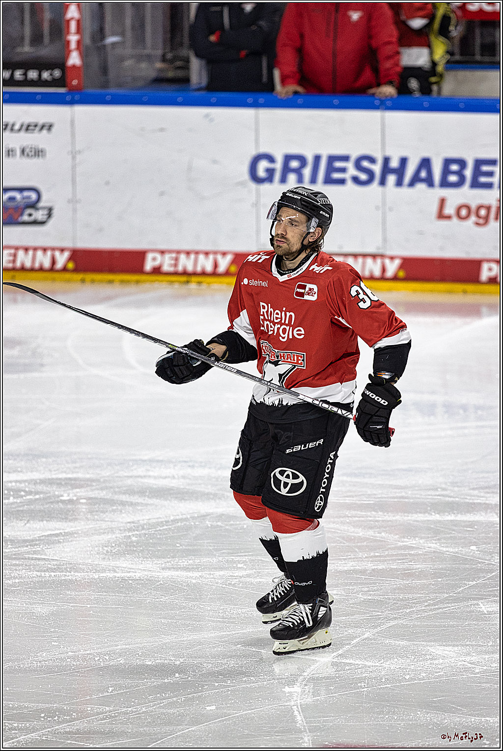 PENNY DEL 1. Koelner Haie - Straubing Tigers; Koeln, 15.12.2023