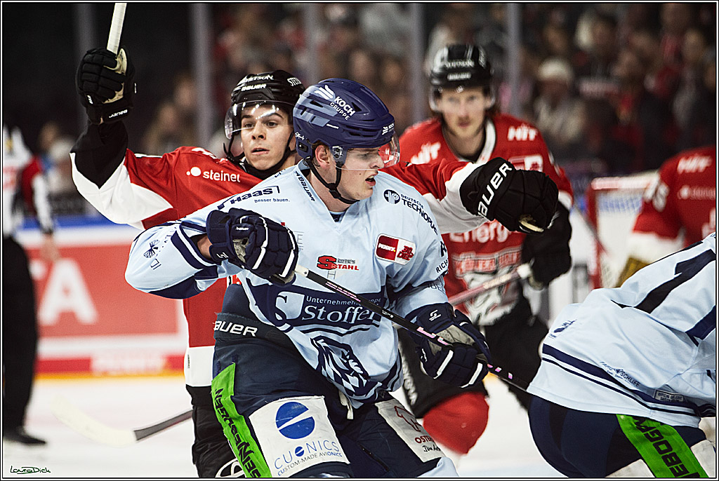PENNY DEL; Koelner Haie- Straubing Tigers; Koeln, 15.12.2023