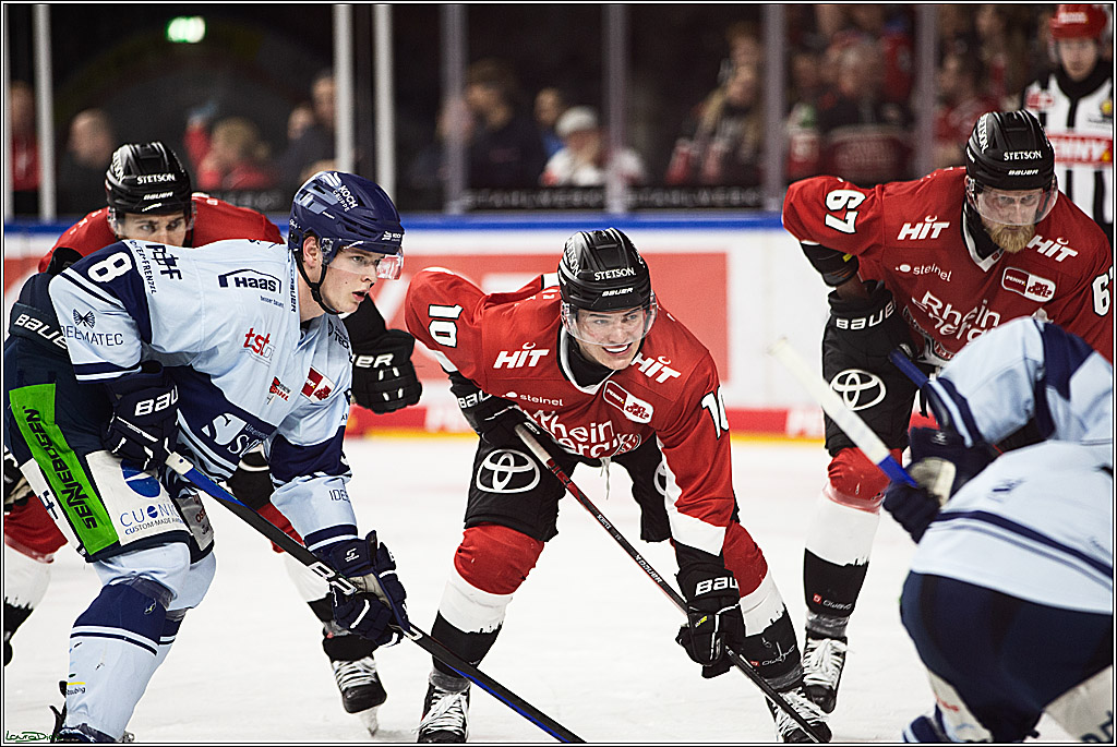 PENNY DEL; Koelner Haie- Straubing Tigers; Koeln, 15.12.2023