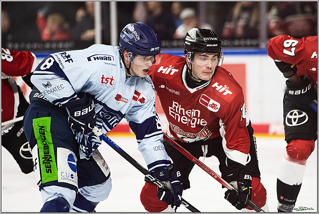 PENNY DEL; Koelner Haie- Straubing Tigers; Koeln, 15.12.2023