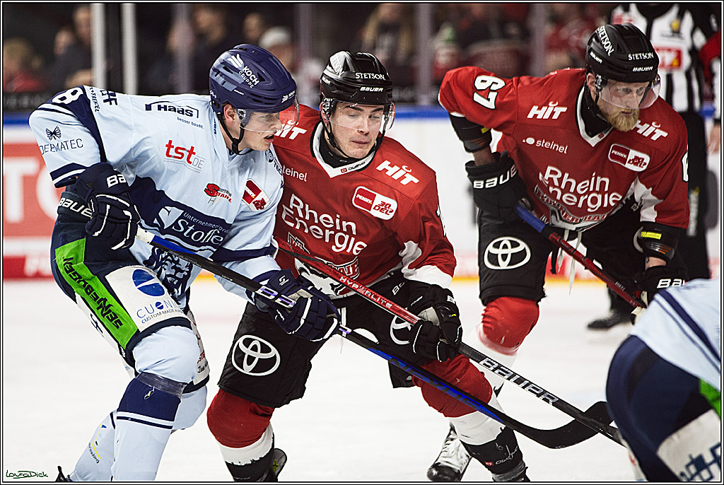 PENNY DEL; Koelner Haie- Straubing Tigers; Koeln, 15.12.2023