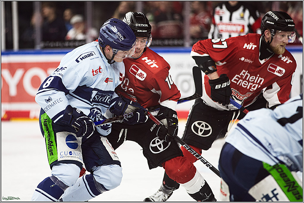 PENNY DEL; Koelner Haie- Straubing Tigers; Koeln, 15.12.2023