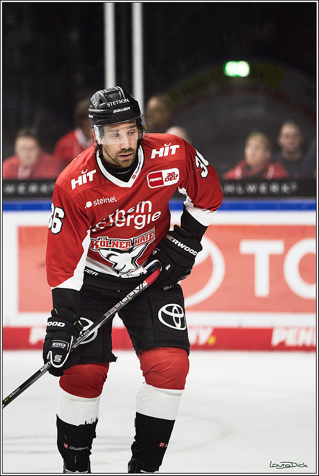 PENNY DEL; Koelner Haie- Straubing Tigers; Koeln, 15.12.2023