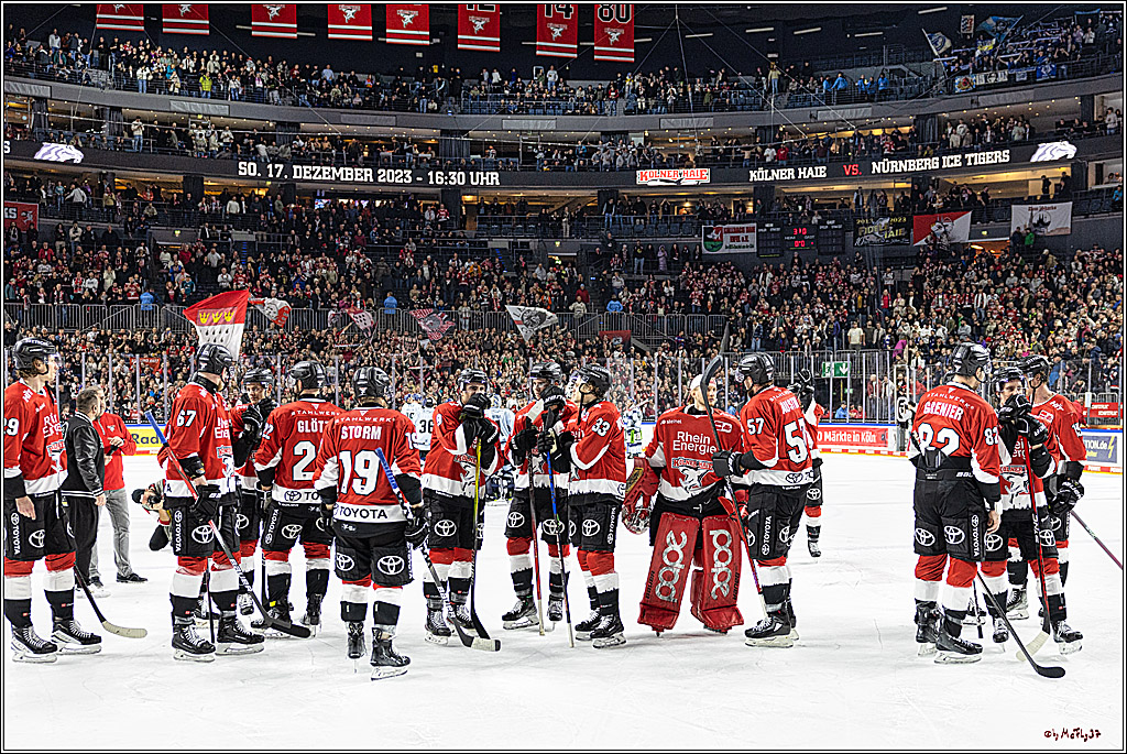 PENNY DEL 1. Koelner Haie - Straubing Tigers; Koeln, 15.12.2023
