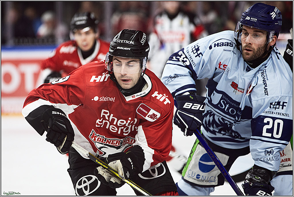 PENNY DEL; Koelner Haie- Straubing Tigers; Koeln, 15.12.2023