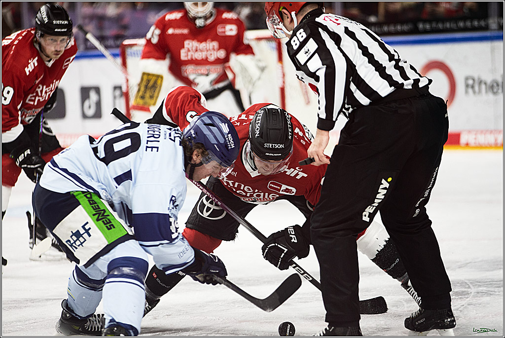 PENNY DEL; Koelner Haie- Straubing Tigers; Koeln, 15.12.2023